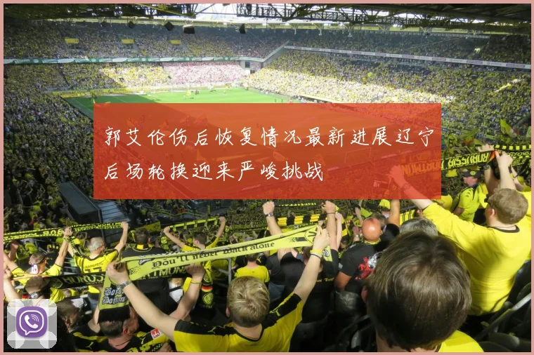 郭艾伦伤后恢复情况最新进展辽宁后场轮换迎来严峻挑战