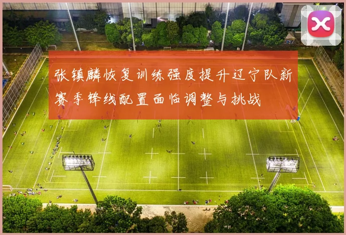 张镇麟恢复训练强度提升辽宁队新赛季锋线配置面临调整与挑战